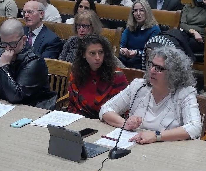 Former Massachusetts Teachers Association president Merrie Najimy rebukes anti-Palestinian innuendo offered by Rep. Simon Cataldo (D-Acton) at the State Special Commission on Combating Antisemitism hearing, Feb. 10, 2024. Photo courtesy of Massachusetts Peace Action.